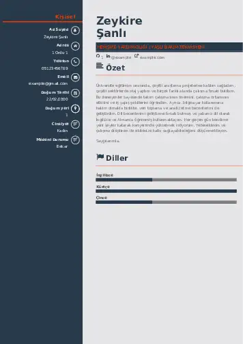 Hasta ve Yaşlı Bakım Elemanı Cv Örnekleri cv indir